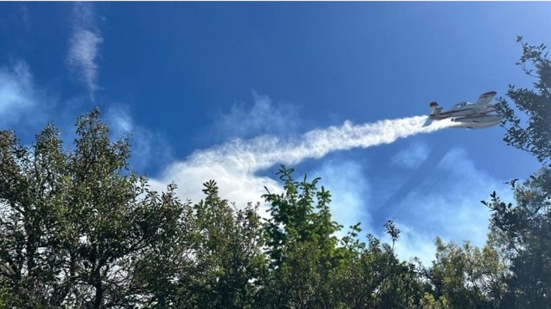 Los incendios forestal una vez más son noticias en la zona Andina. | LM Neuquen Los incendios forestal una vez más son noticias en la zona Andina.