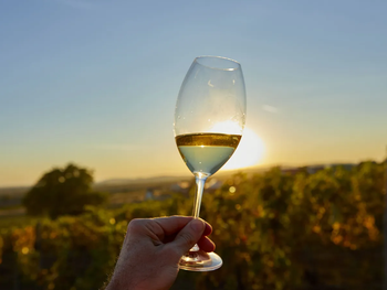 El IWSC revela un mapa mundial del vino más diverso que nunca.
