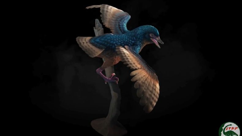 Reconstrucción 3D de Baminornis zhenghensis, cuyos fósiles fueron encontrados en China.