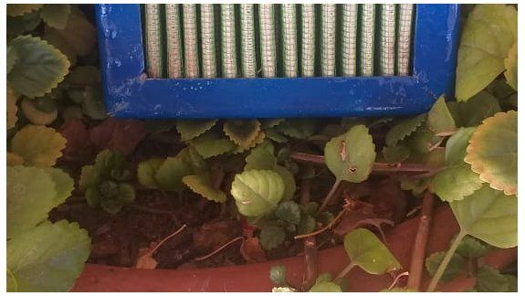 El equipo de Camilo Neuquén Energía da pelea al coronavirus