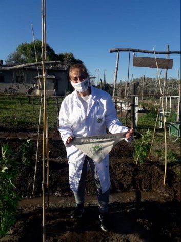 Cannabicultores celebraron la ley del autocultivo: Hoy dejamos de ser ilegales