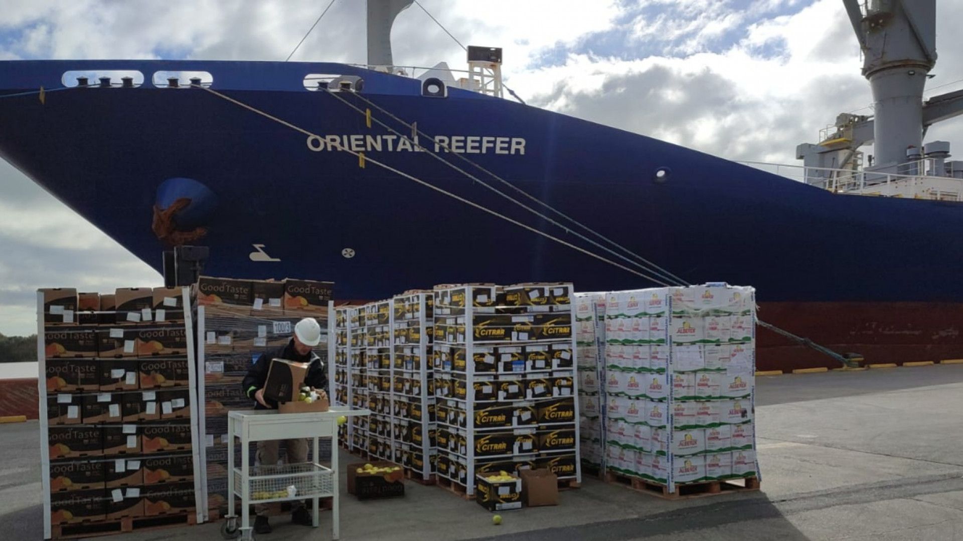 Parte importante de la oferta exportable de pomáceas de la Argentina sale por el puerto de San Antonio Este.
