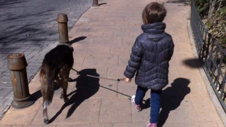 Un nene en Ecuador le pone barbijo a su perro.