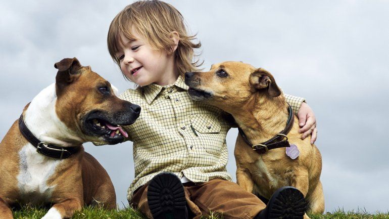 Se asocia a una mutación genética relacionada con el síndrome de Williams-Beuren.