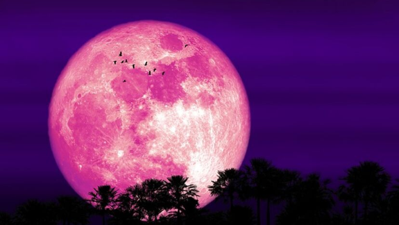 En Argentina la Luna Rosa mantiene su tonalidad blanca, aunque puede mostrar matices anaranjados cerca del horizonte.