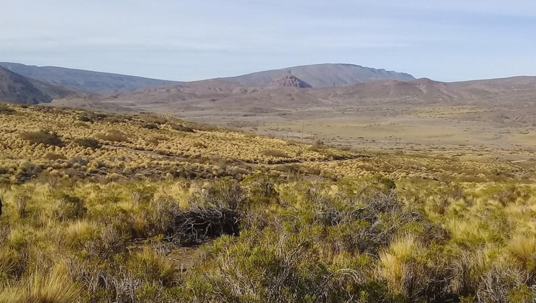 Dolor en el norte neuquino por la muerte de un niño de solo un año y siete meses en un choque frontal.