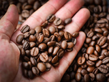 Los precios del café están en máximos históricos.