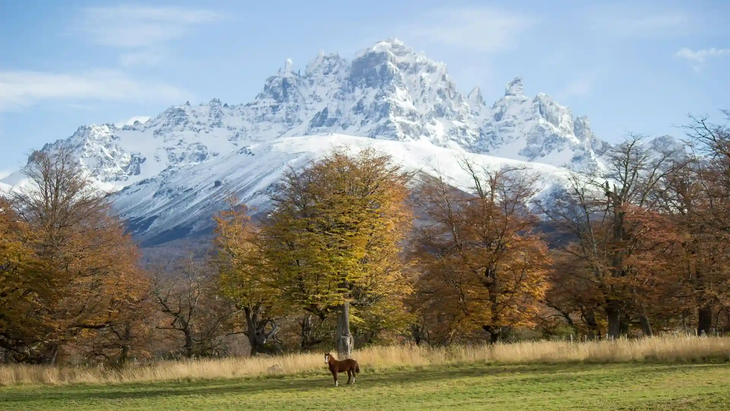 En Aysén, praderas verdes sostienen un vacuno cada dos hectáreas. La diferencia es climática. En Aysén, praderas verdes sostienen un vacuno cada dos hectáreas. La diferencia es climática.