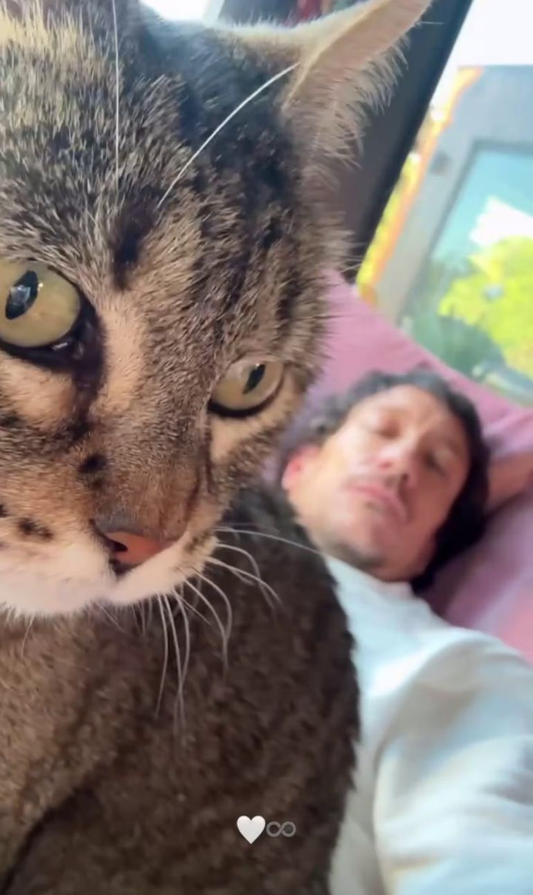 Nico Vázquez y su gato Nico Vázquez y su gato
