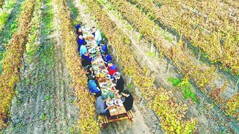 San Patricio del Chañar se vistió de fiesta para promocionar sus vinos.