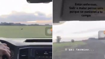 subio un video disparando a perros y causo indignacion en las redes subio un video disparando a perros y causo indignacion en las redes