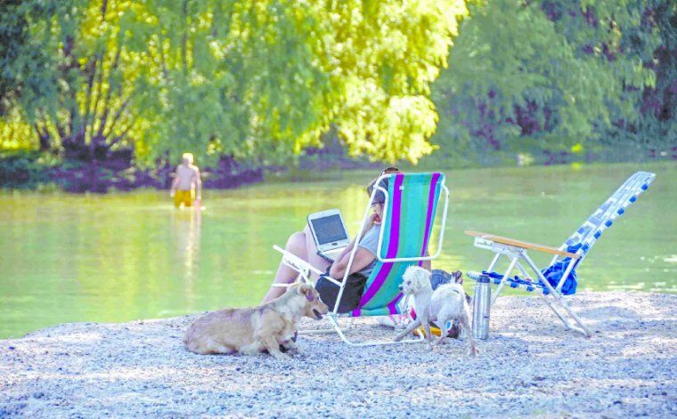 La Muni reiteró la prohibición de estar con perros en los balnearios. Pero bueno... La Muni reiteró la prohibición de estar con perros en los balnearios. Pero bueno...