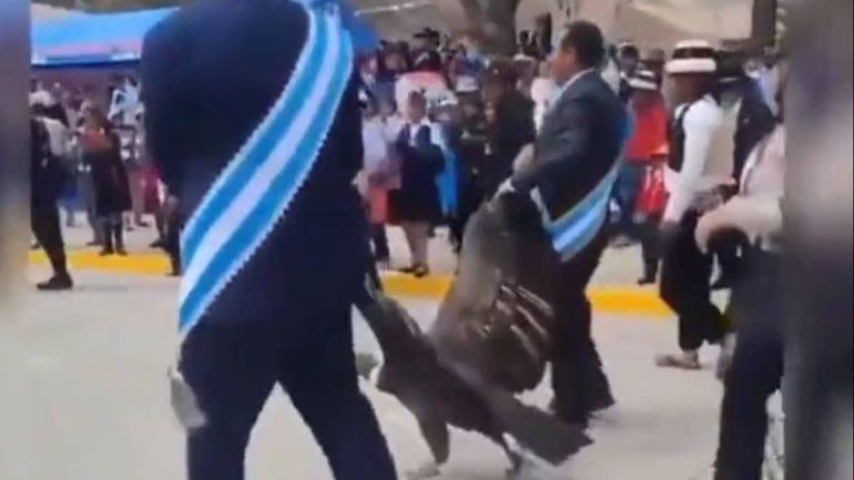 Video: alcalde peruano arrastró a un cóndor andino en un acto patrio