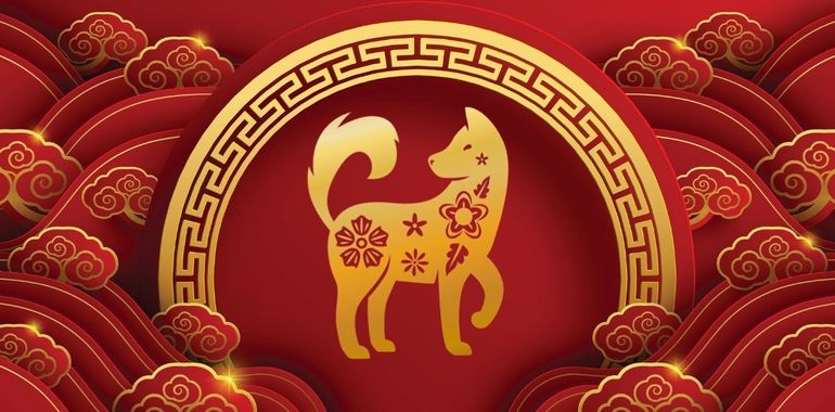 El Perro tendrá un 2026 con noticias positivas en lo profesional, lo emocional y lo social. El Perro tendrá un 2026 con noticias positivas en lo profesional, lo emocional y lo social.