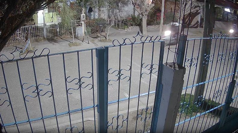 El dueño de la casa comenzó a gritarle al delincuente para que se vaya pero quedó colgando de la reja hasta que se zafó y huyó. | LM Neuquen El dueño de la casa comenzó a gritarle al delincuente para que se vaya pero quedó colgando de la reja hasta que se zafó y huyó.