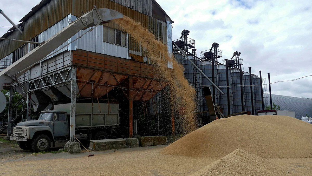 La guerra se enfoca en la exportación de cereales