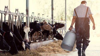La medida aplicará para los lácteos.