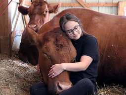 Las vacas abrazadoras, ¿la reconversión que se viene? Las vacas abrazadoras, ¿la reconversión que se viene?