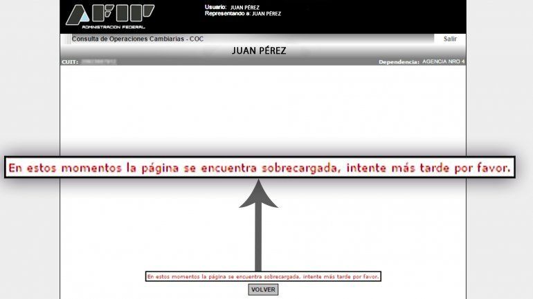 Por una sobrecarga en la página de AFIP es casi imposible comprar dólar ahorro