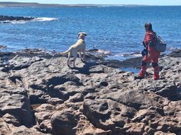 Buscan en la costa de Chubut a los jubilados de Comodoro Rivadavia desaparecidos. Buscan en la costa de Chubut a los jubilados de Comodoro Rivadavia desaparecidos.
