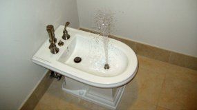 Adiós bidet: esta es la moda que se está instalando en los hogares, más práctica y elegante | LM Neuquen Adiós bidet: esta es la moda que se está instalando en los hogares, más práctica y elegante