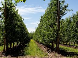 Emprendedores patagónicos que revolucionan el agro con valor agregado. Emprendedores patagónicos que revolucionan el agro con valor agregado.