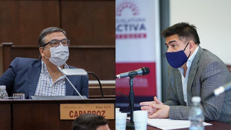 Dos diputados atenderán en hospitales en medio de la pandemia