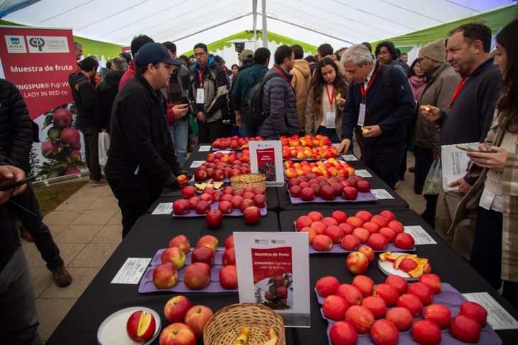 Ante un escenario marcado por temperaturas extremas y menor disponibilidad de frío invernal, la industria de la manzana acelera su adaptación para proteger la producción y las exportaciones. Ante un escenario marcado por temperaturas extremas y menor disponibilidad de frío invernal, la industria de la manzana acelera su adaptación para proteger la producción y las exportaciones.