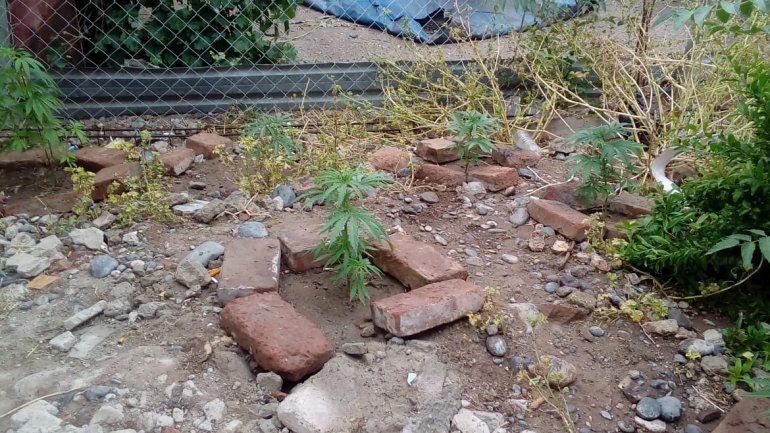 Le robó a un repartidor de agua, lo allanaron y le encontraron droga