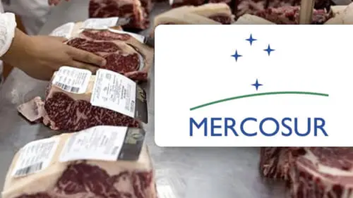 ¿Es cara la carne en Argentina, respecto de lo que pagan nuestros vecinos? thumbnail