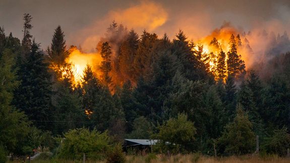 Angustiante récord: el fuego arrasó 32.000 hectáreas de bosques en la Patagonia