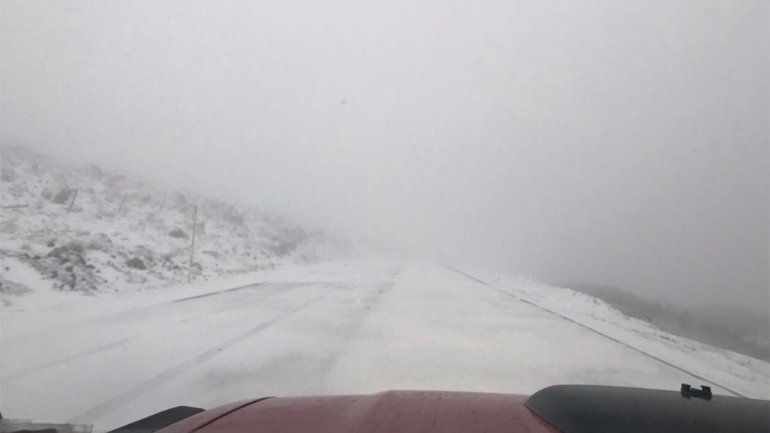 Cierran el paso Pino Hachado por acumulación de nieve y viento blanco