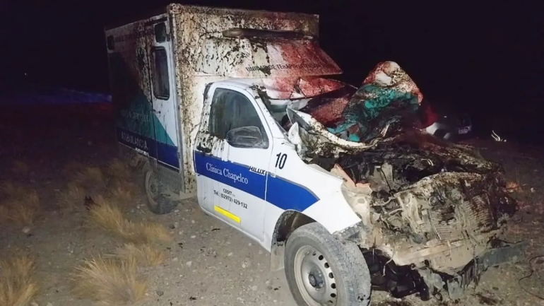 Dramático: una ambulancia embistió a un caballo y encendió el debate sobre los animales sueltos en la ruta