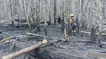 El incendio ocurrió a pocos metros de la casa del guardaparques que intervino en la clausura del camping del lago Falkner