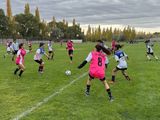 Que ruede la pelota: vuelve la Liga Municipal