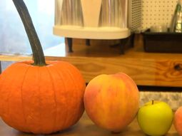 El enorme fruto superó al anterior récord por tan solo tres gramos. El enorme fruto superó al anterior récord por tan solo tres gramos.