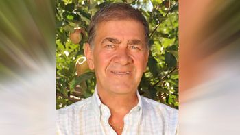 caso avalos: nardanone, dueno de las palmas, se resiste a ser indagado caso avalos: nardanone, dueno de las palmas, se resiste a ser indagado