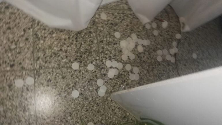 Los ladrones tiraron las hostias bendecidas en el piso de la capilla.