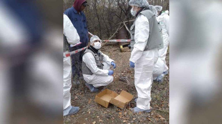 Hallan huesos humanos en El Chañar e investigan un crimen