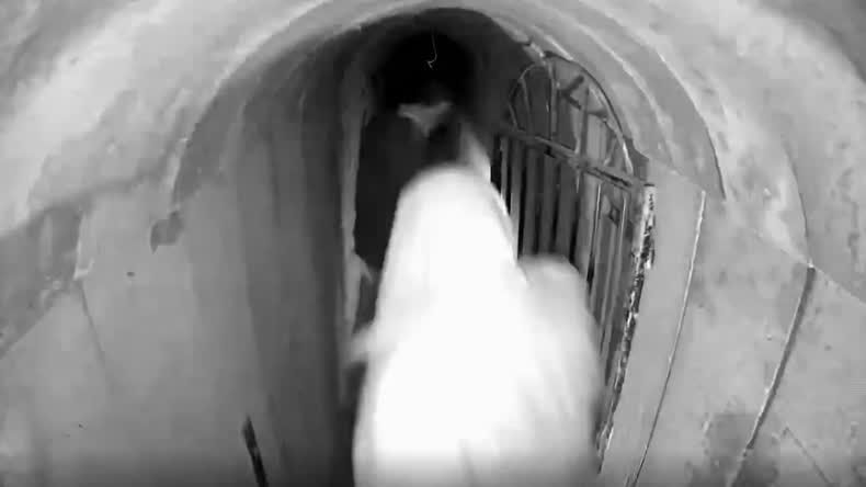 El video de una cámara de seguridad que muestra al líder de Hamás huyendo por un túnel.