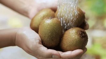 ¿Hay que lavar el kiwi aunque no comas la cáscara?: la advertencia que pocos conocen | LM Neuquen ¿Hay que lavar el kiwi aunque no comas la cáscara?: la advertencia que pocos conocen