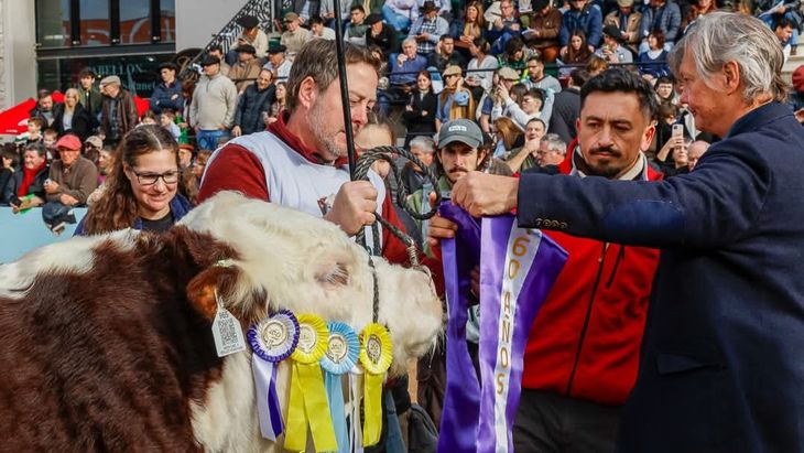 Cabaña La Txapela, de la comarca Viedma-Patagones, fue gran protagonista en la Expo Rural. Cabaña La Txapela, de la comarca Viedma-Patagones, fue gran protagonista en la Expo Rural.