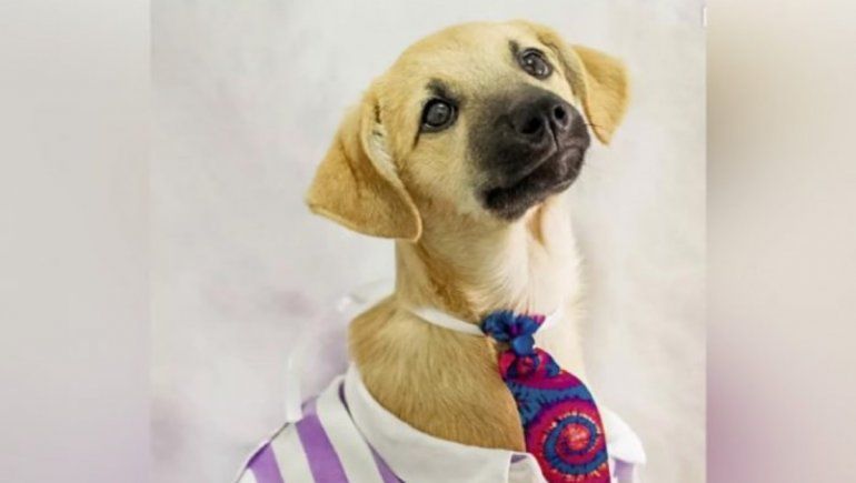 Foto: Samantha Figueiredo.