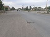 Una gran mancha de sangre quedó como huella del fatal hecho que le costó la vida al ciclista. 