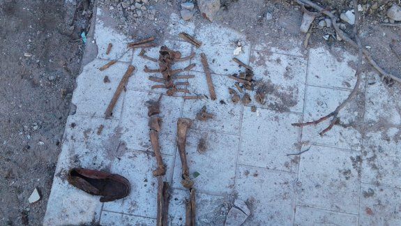 Determinan de qué eran los huesos encontrados en una obra