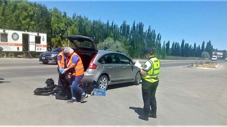 Decomisaron 14 costillares ilegales en el tercer puente