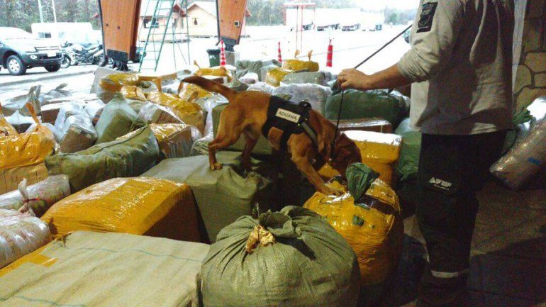 Secuestran otro millonario cargamento que entraba de contrabando