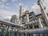Raízen invertirá u$s 715 millones en su línea de producción