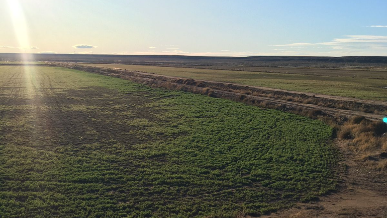 Desarrollo Neuquino: de Vaca Muerta a Picún Leufú