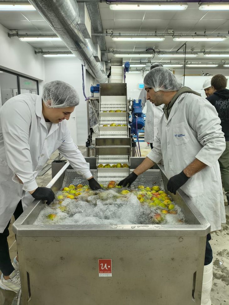 Nueva identidad: La carrera renovó su nombre para incluir el auge de las bebidas fermentadas y los destilados. Nueva identidad: La carrera renovó su nombre para incluir el auge de las bebidas fermentadas y los destilados.